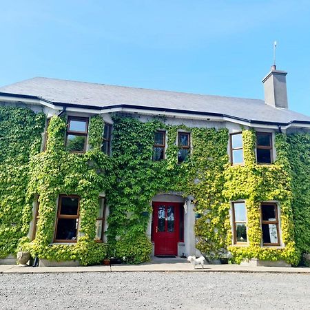 The Garden Gates Guest Accommodation Castlebar Exteriér fotografie